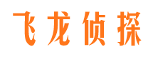 武川市调查公司